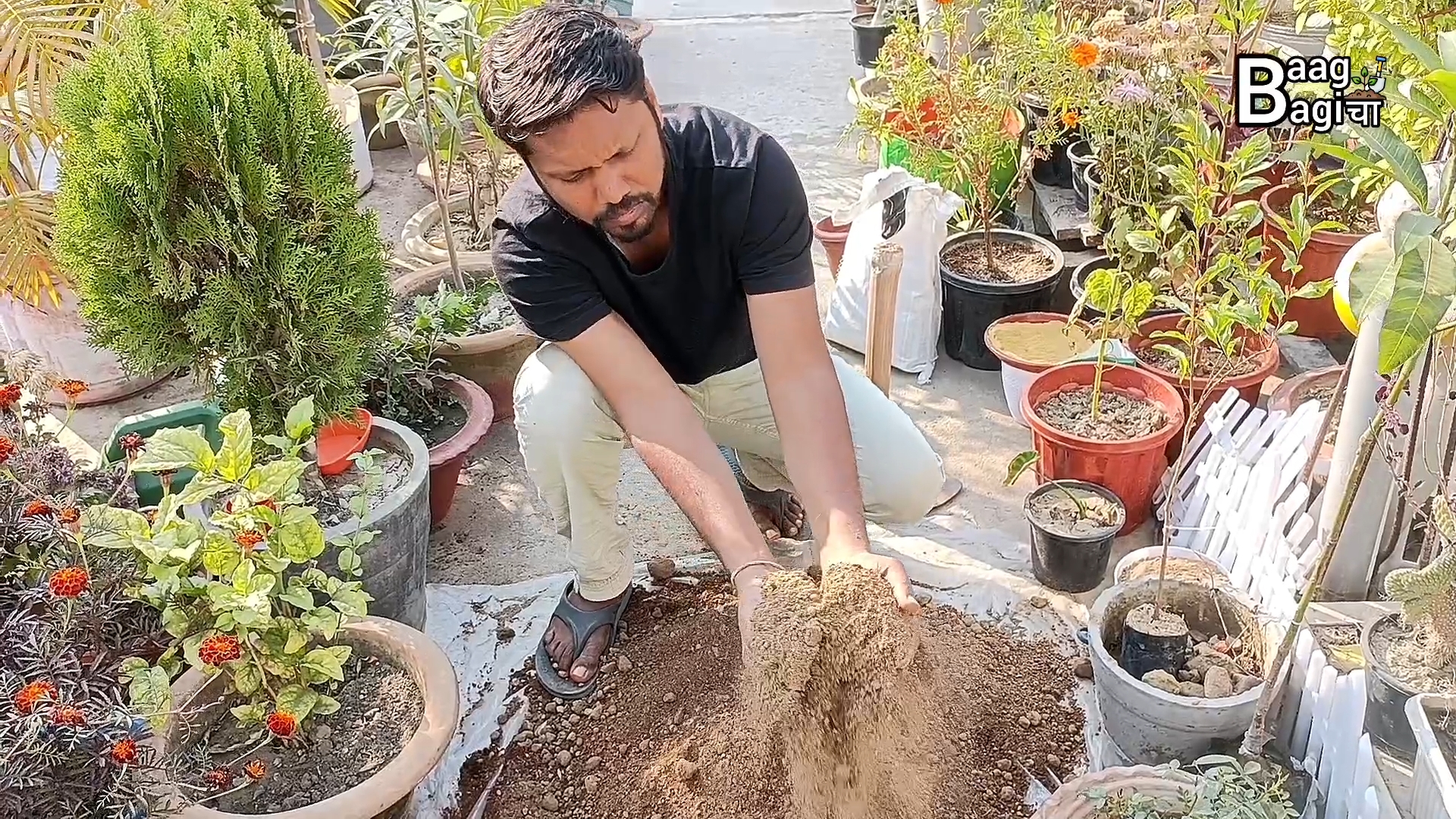 10 सर्वश्रेष्ठ बागवानी हैक्स जो हर गार्डेनर को जानने चाहिए / Gardening Hacks