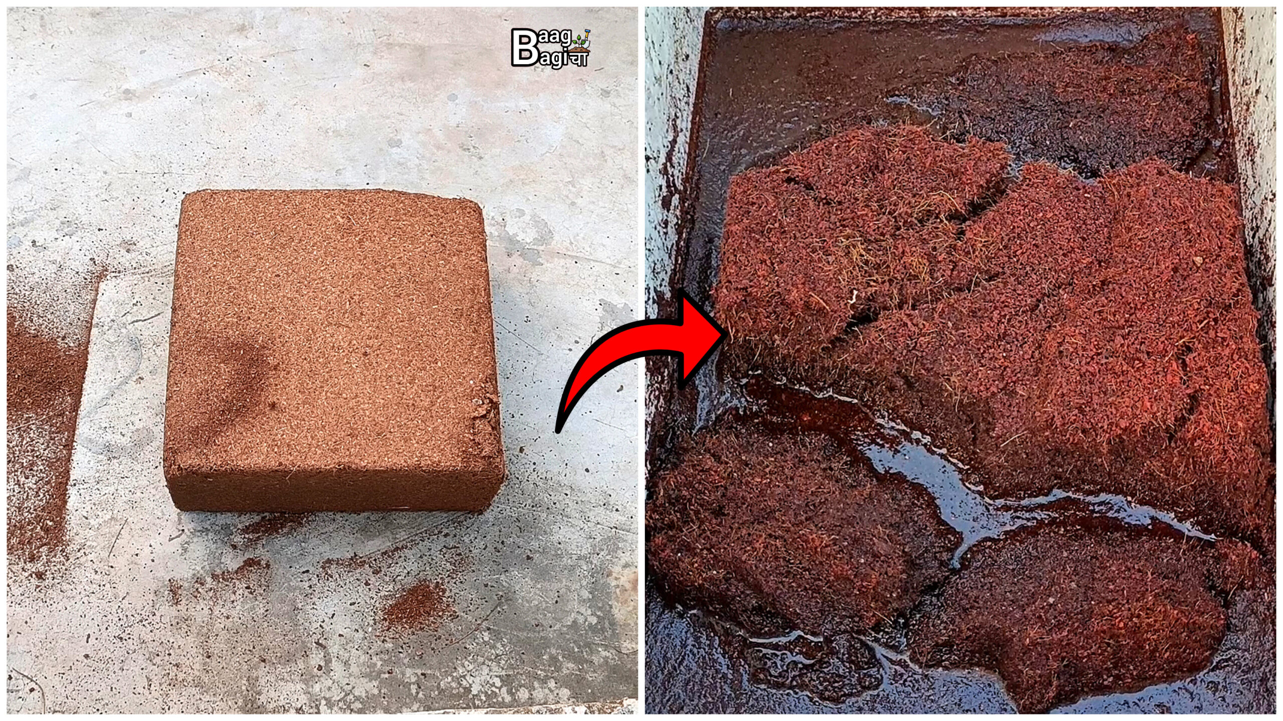 कोकोपीट क्या है और कोकोपीट का उपयोग कैसे करें / How To Use Cocopeat ?